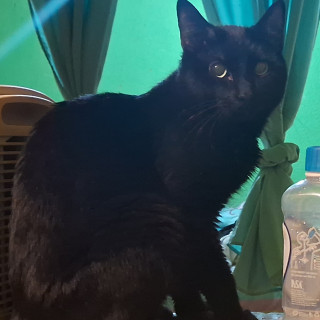 Foto de SATANÁS