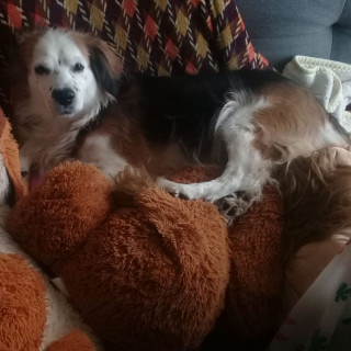 Foto de CAMILA