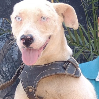 Foto de CIELO