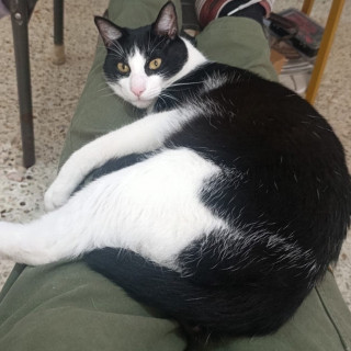 Foto de TITÁN