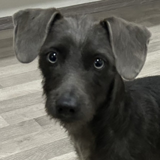 Foto de NINNA MAZAPANA