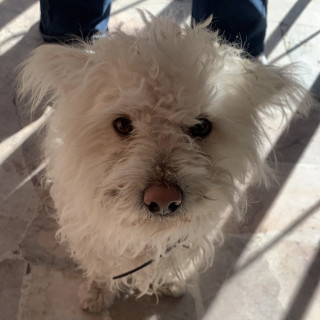 Foto de PACHO