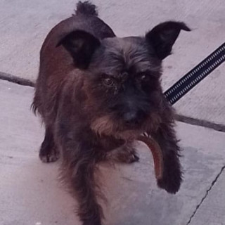Foto de JAKE