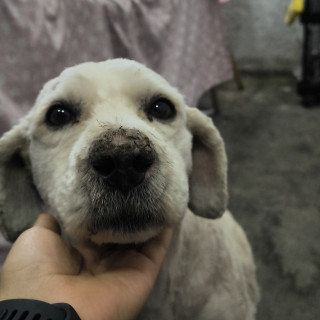 Foto de 