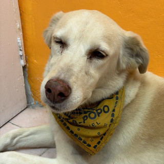 Foto de 