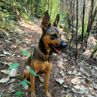 Foto de MAYA