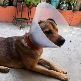 Foto de 
