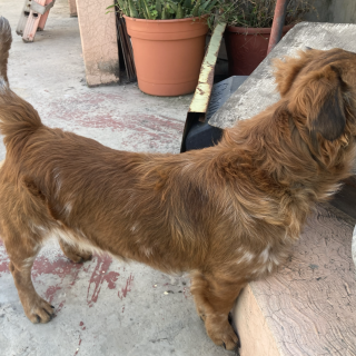  | Raza Mestizo | Final Feliz