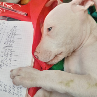 Foto de ZEUS