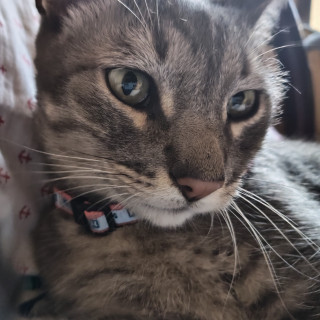 Foto de KIRO