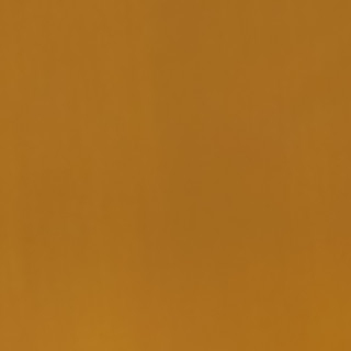 PUFFY | Raza Mestiza,  cruza de Schnauzer con Yorkshire Terrier | Perdida