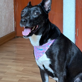 Foto de 