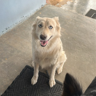 Foto de SIMONETA