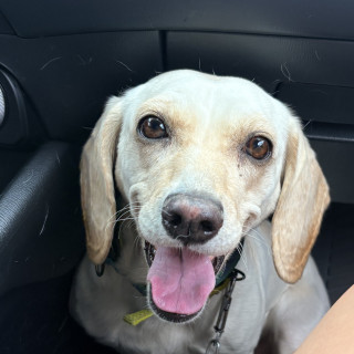Foto de BIANCA