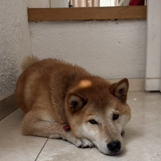 Foto de 
