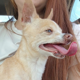 Foto de KIRA