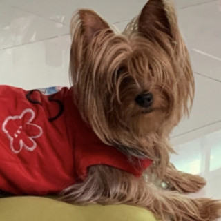Foto de LOLA