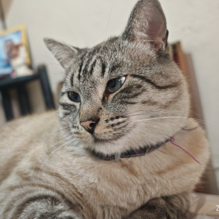 Foto de TONTÍN