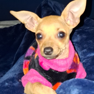 Foto de MILEY