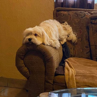 Foto de PEPO O GORDO