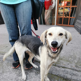 Foto de 