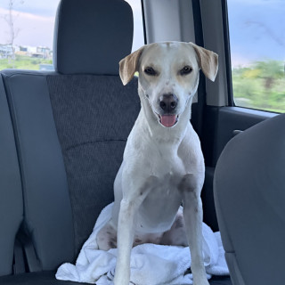 Foto de LAYLA