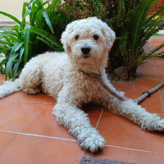 Foto de 