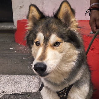 Foto de DEISY