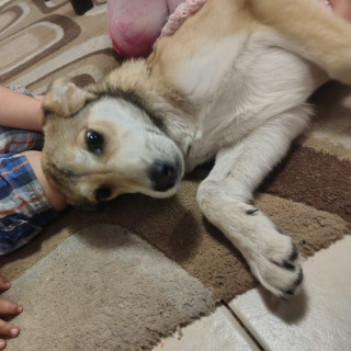 Foto de KIPSI