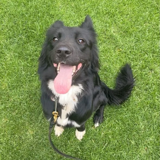 Foto de TOMASA