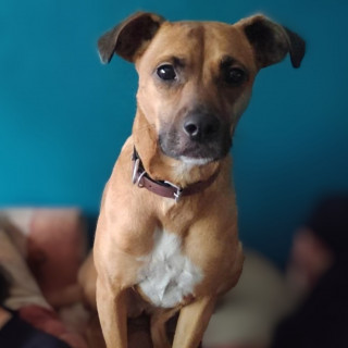 Foto de MOKA