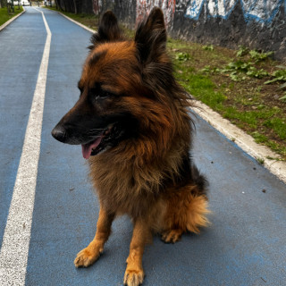 Foto de 