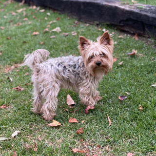 Foto de CAMILO