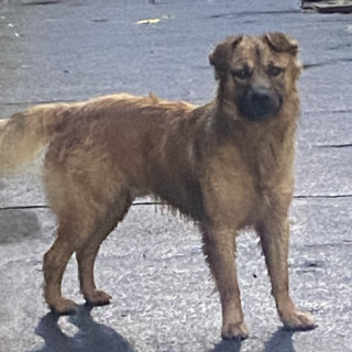 Foto de 