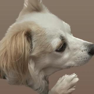 PETUNIA | Raza Mestiza | Final Feliz