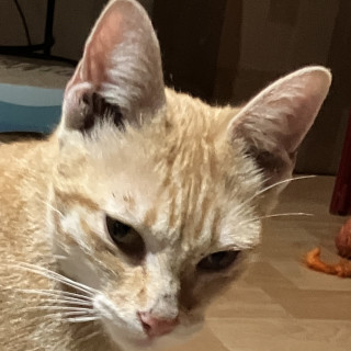Foto de 