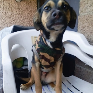 Foto de ZEUS