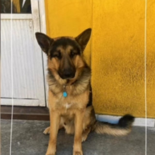 Foto de CAPITÁN
