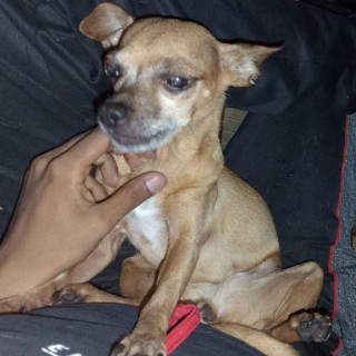 Foto de CLOY