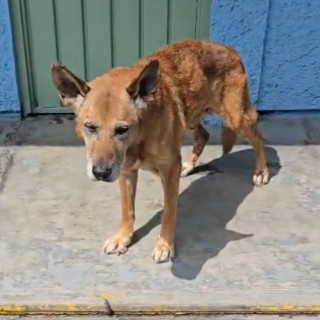 Foto de CAMILO