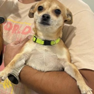 Foto de PITUFINA