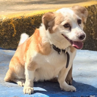 Foto de LUNA