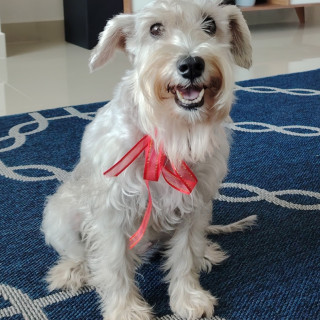Foto de PUKA