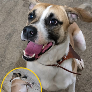 Foto de KENAI
