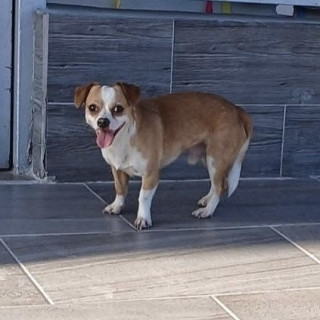 Foto de YUKI