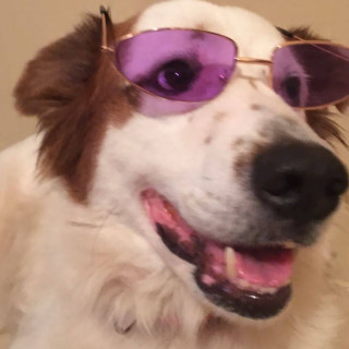 MUÑECA | Raza Mestiza | Perdida