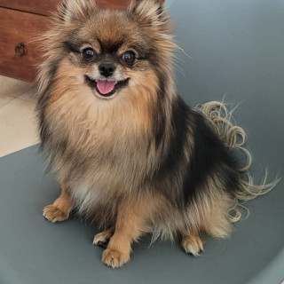 Foto de MARLEY