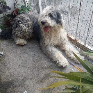 Foto de 
