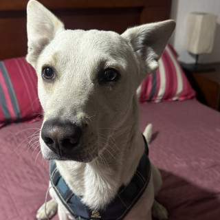 Foto de 