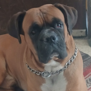 Foto de EROS